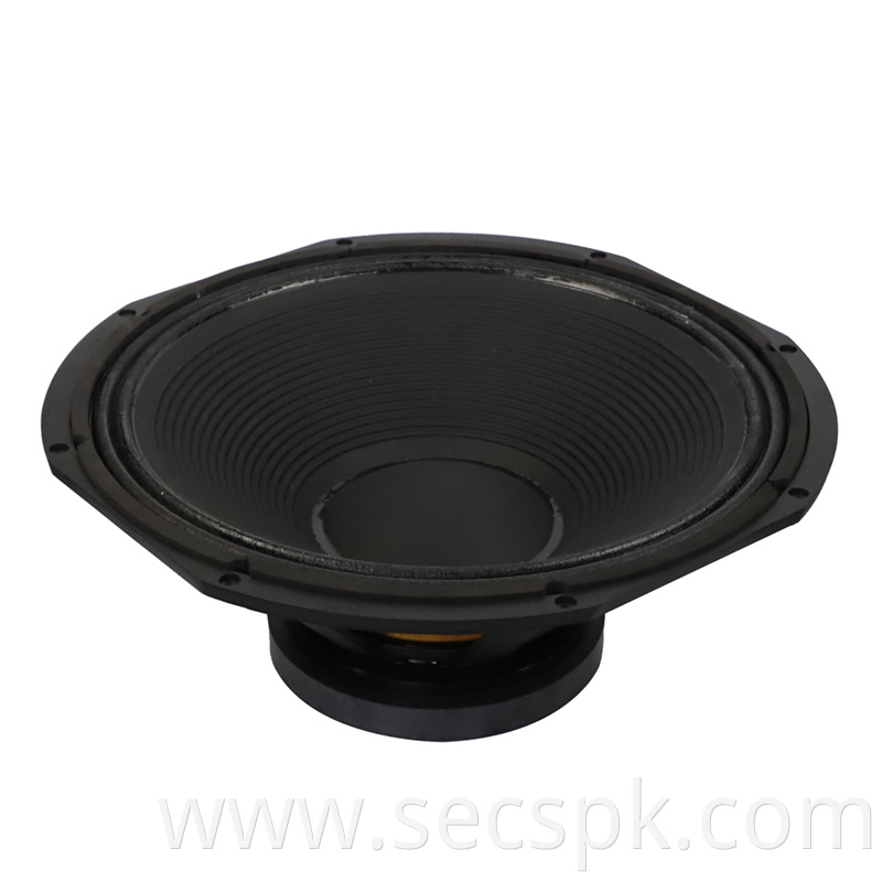 8ohm Stage Concert Speaker